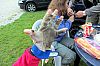 IMG_3552.JPG